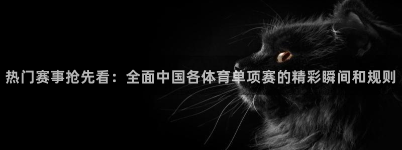 热门赛事抢先看：全面中国各体育单项赛的精彩瞬间和规则